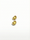 Two gold earrings on a white background